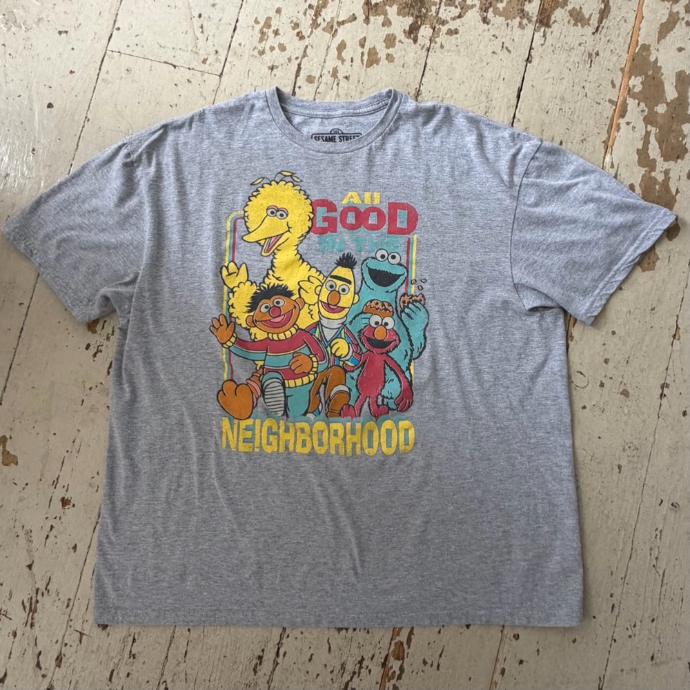 Sesame Street Gray Graphic Tee with Characters from the Neighborhood Tshirt